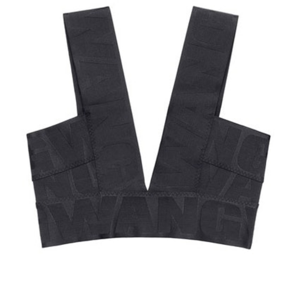 RARE! Alexander Wang x H&M Bustier Logo Sports Bra